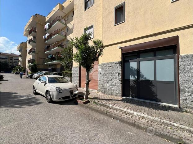 NEGOZIO A POLLENA TROCCHIA