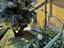 Immagine 14