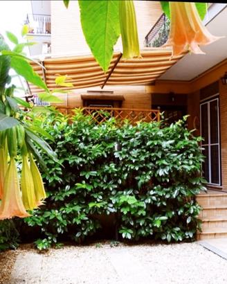 Sole e mare a Pasqua Ostia centro