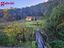 Immagine 21