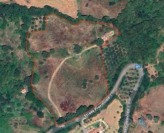 Rustico + 20.100 mq terreno San Chirico Raparo