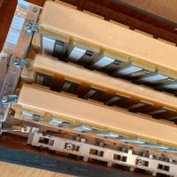 Fisarmonica scandalli