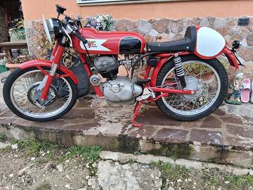 Moto morini settebello 175