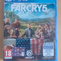 Far Cry 5 (ITA,Ps4)