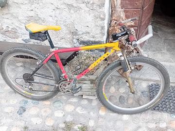 MTB Gary Fisher front suspended - rara ed iconica