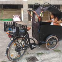 Bike Olandese E-Troy pedalata assistita elettrica