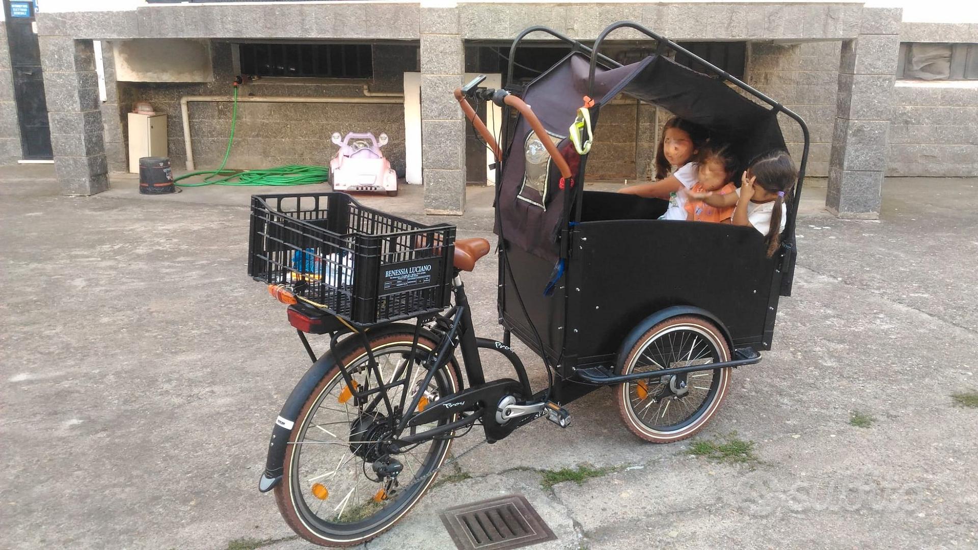 Bike Olandese E-Troy pedalata assistita elettrica Biciclette In