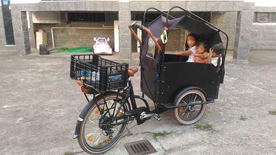 Bike Olandese E-Troy pedalata assistita elettrica