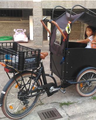Bike Olandese E-Troy pedalata assistita elettrica