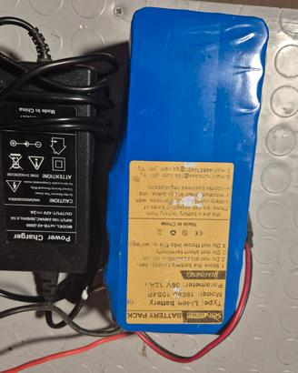Batteria litio 36v 12a 430wh elettronica