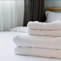 Pulizie B&B Bologna