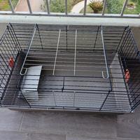 Gabbia per coniglio nano