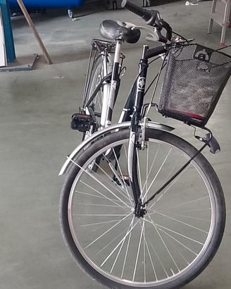 Bici da Donna 