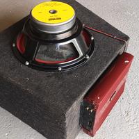 SUBWOOFER AUTO CON AMPLIFICATORE REVAC