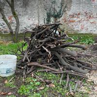 LEGNA VARIA DA ARDERE