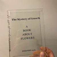 PURANSEN STUDIO VASO PLEXIGLASS PER FIORI