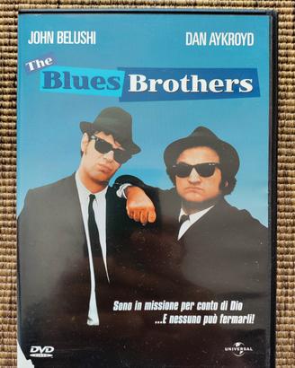 Lotto DVD film interessanti 