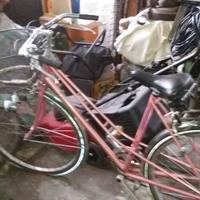 Bici da donna Coronado 