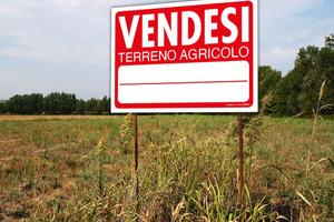 Terreno agricolo di mq 1350