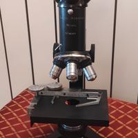 Microscopio Fratelli koristka