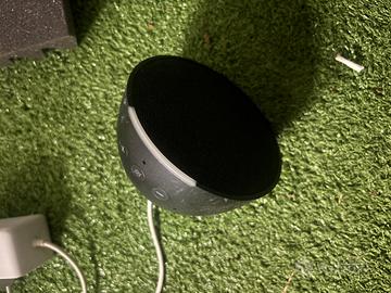 alexa echo dot