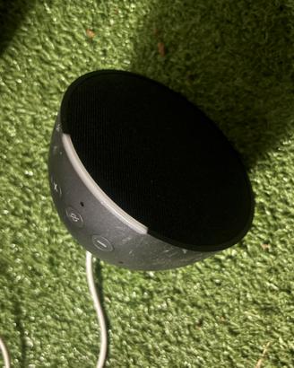 alexa echo dot