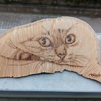 Disegno del gatto sul legno con il pirografo 💫 