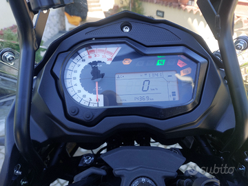 Benelli trk502x anno giugno 2022