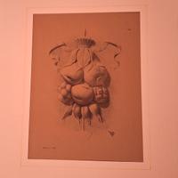 Litografie/Stampe d'arte