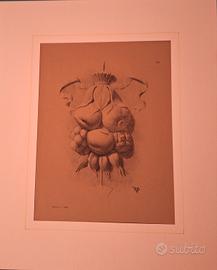 Litografie/Stampe d'arte