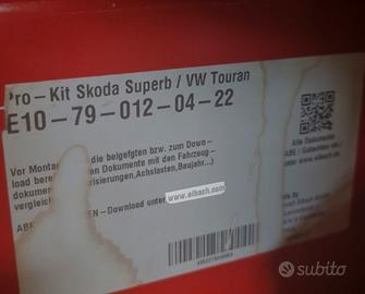 Molle Assetto  Eibach Pro kit SUPERB/TOURAN