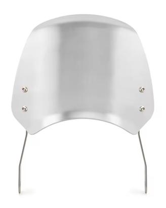 Cupolino per Triumph  Moto Guzzi 