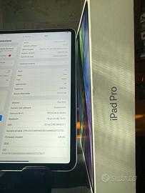 iPad Pro 11" 2° generazione 256 gb