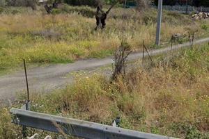 Terreno edificabile Bovalino 1000 MT.Q