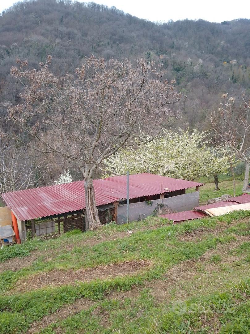 Terreno agricolo - View 2