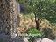 Immagine 13