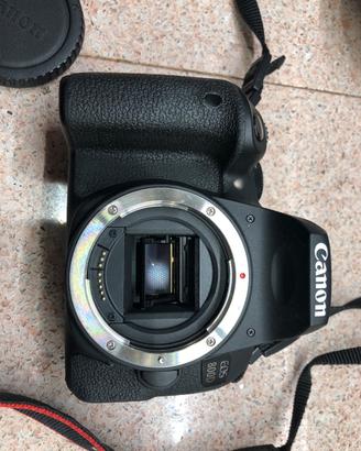CANON EOS 800D