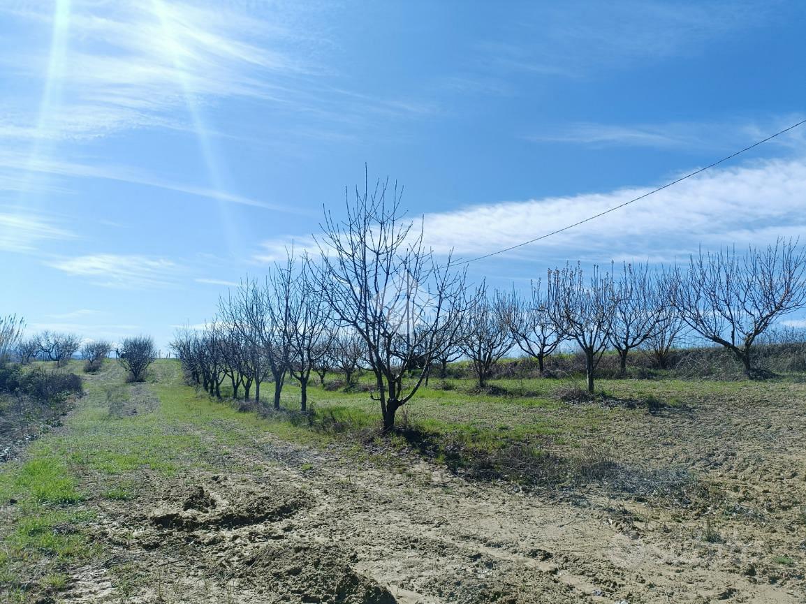 RUSTICO A CASTELNUOVO DON BOSCO - View 4