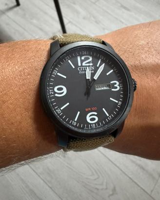 Citizen ecodrive promaster