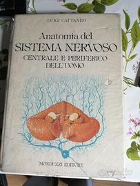 Libri medicina atlanti anatomia