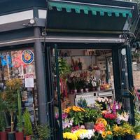 Storico Chiosco nel Cuore di Roma