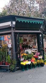 Storico Chiosco nel Cuore di Roma