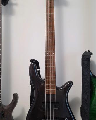 Basso 5 corde Spector