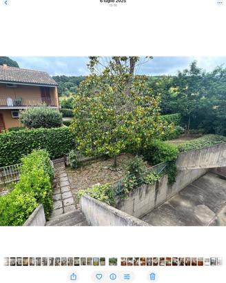 Appartamento a Portiglioni