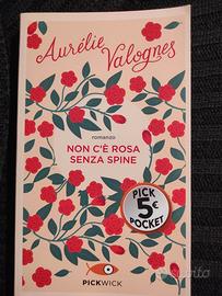romanzo "non c'è rosa senza spine"
