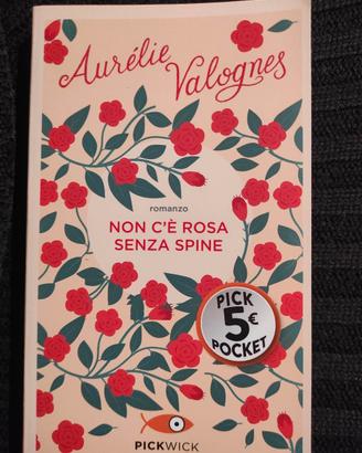 romanzo "non c'è rosa senza spine"