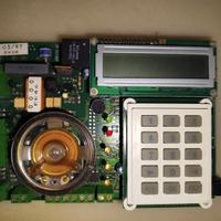 SCHEDA ALLARME TELEFONICO CASA ELKRON CT05