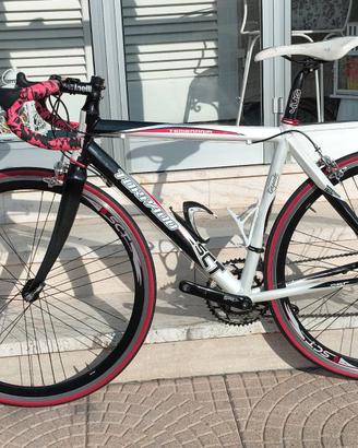 BICI Torpado Temeraria – Campagnolo Veloce 10V –