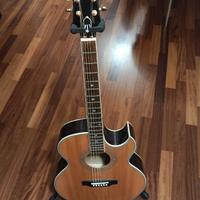 Epiphone PR-5E/n.