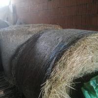 Balloni fieno prato stabile misto